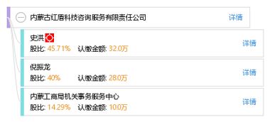 信息技术咨询服务 内蒙古红盾科技咨询服务有限责任公司的专业优势